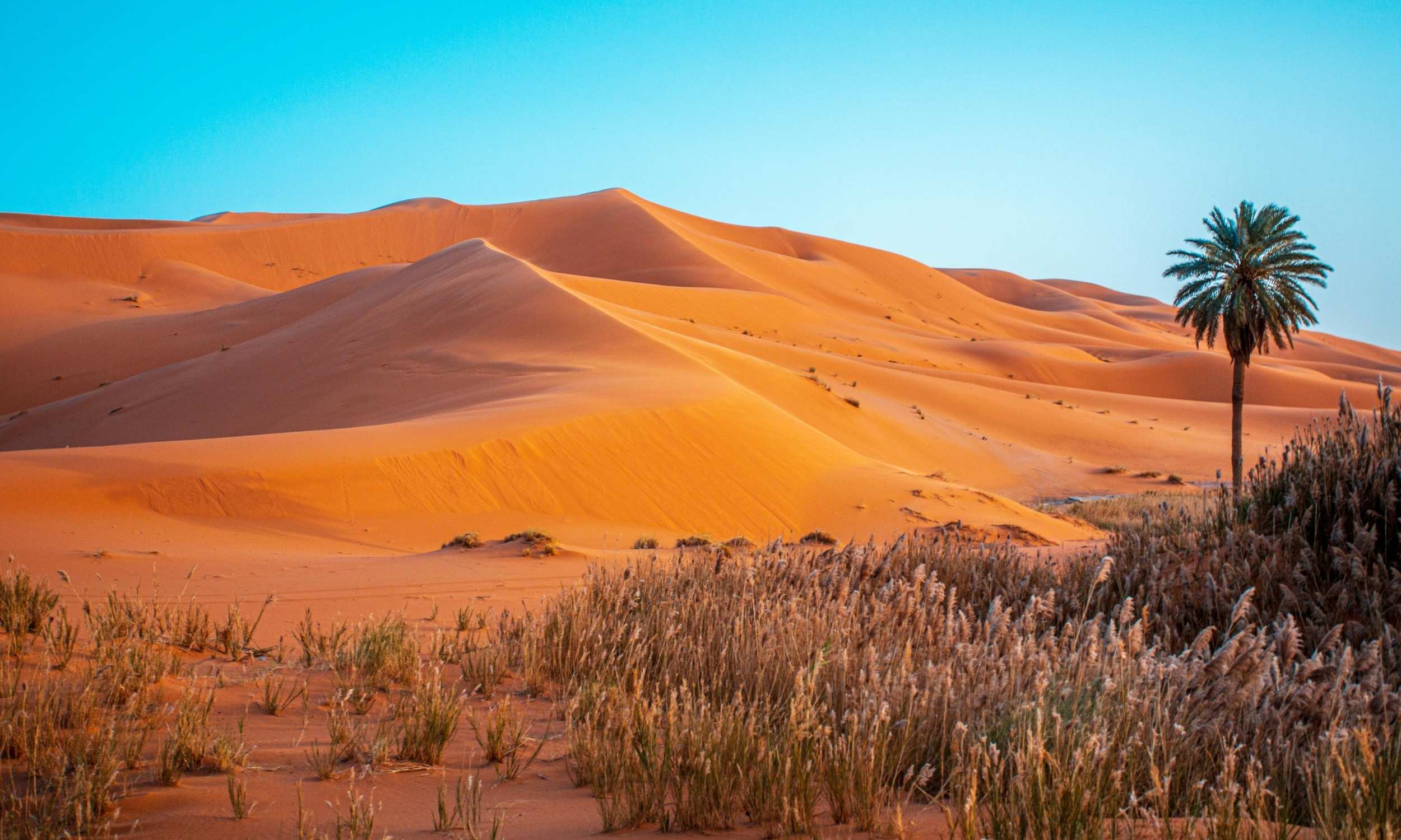 Morocco Stargazing 4