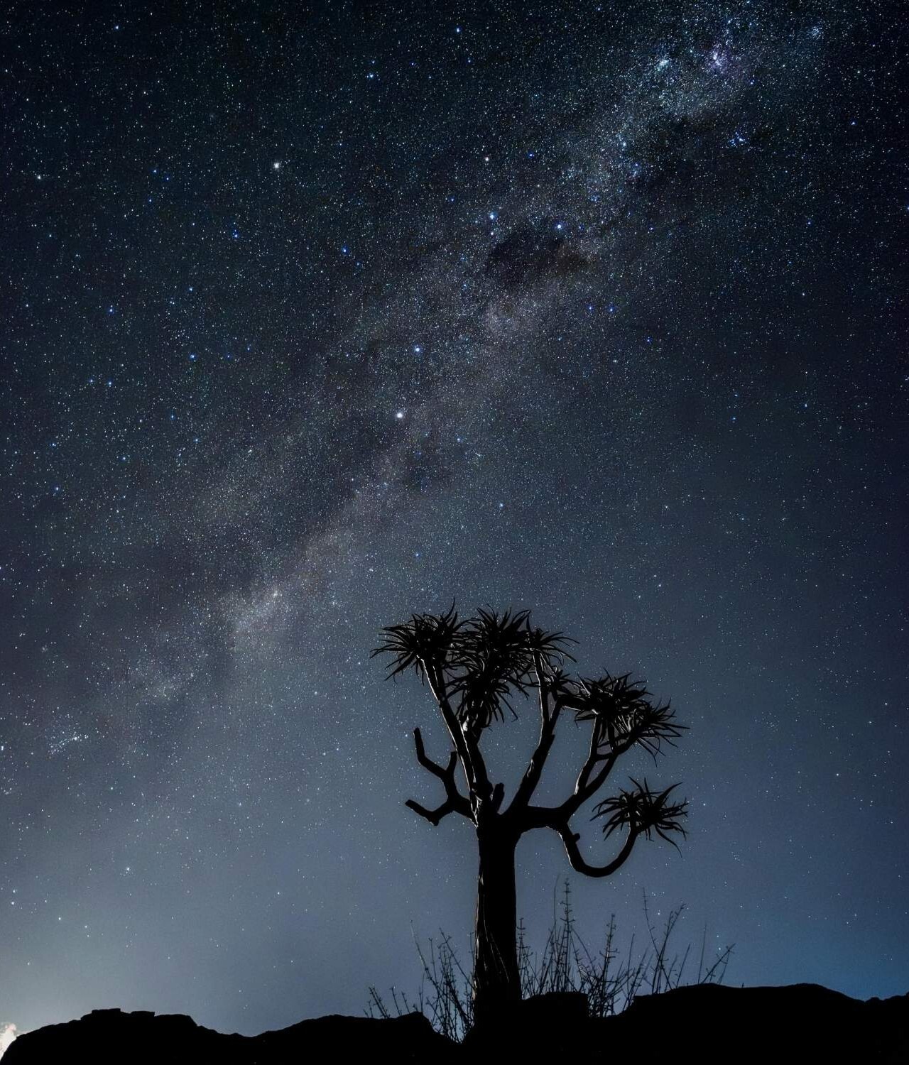 Namibia Stargazing 1