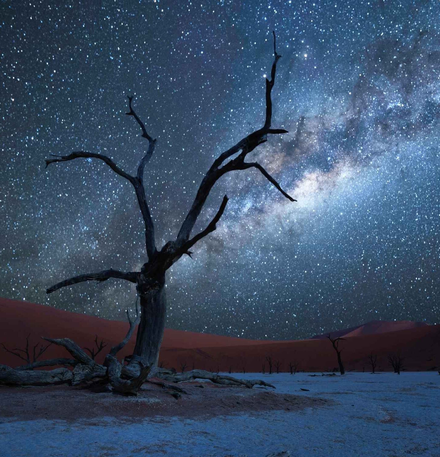 Namibia Stargazing 2025 07 18 120446 fepo