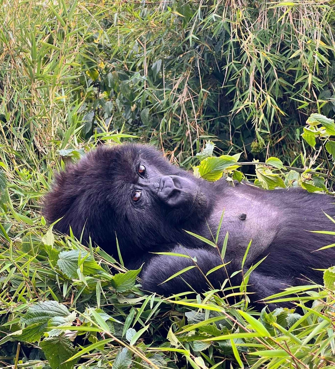 Rwanda by Leora 15