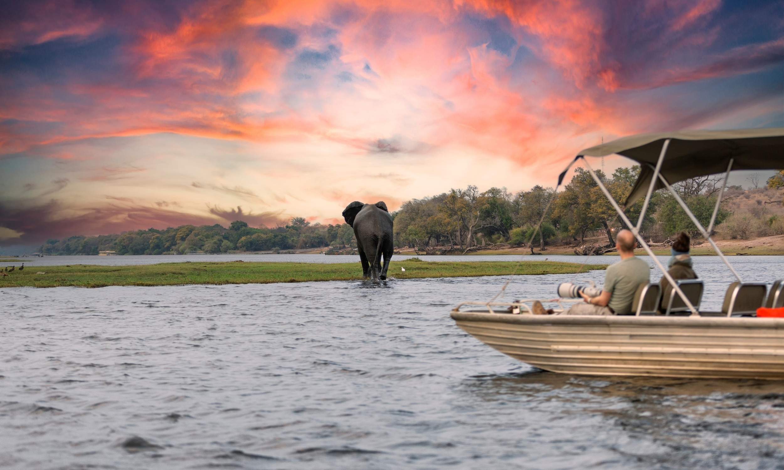 Chobe National Park Botswana