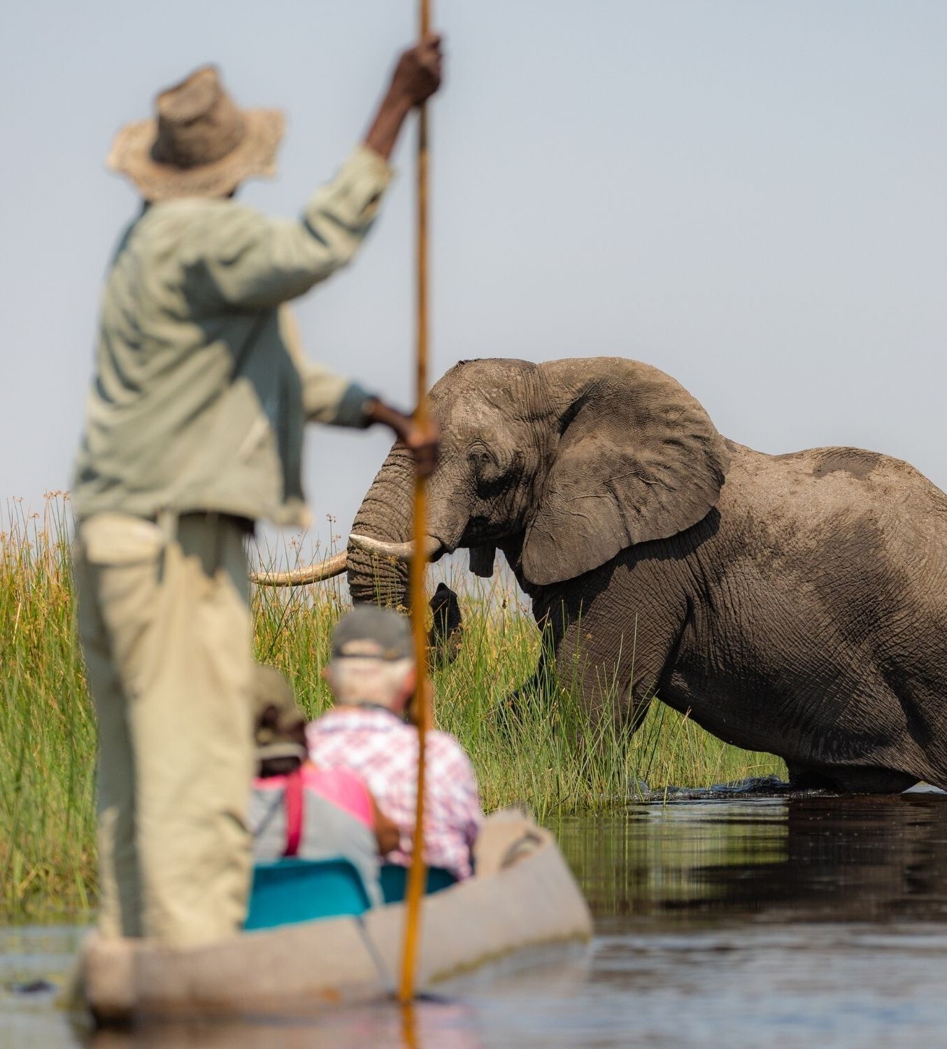 Mokoro with Elephant Botswana