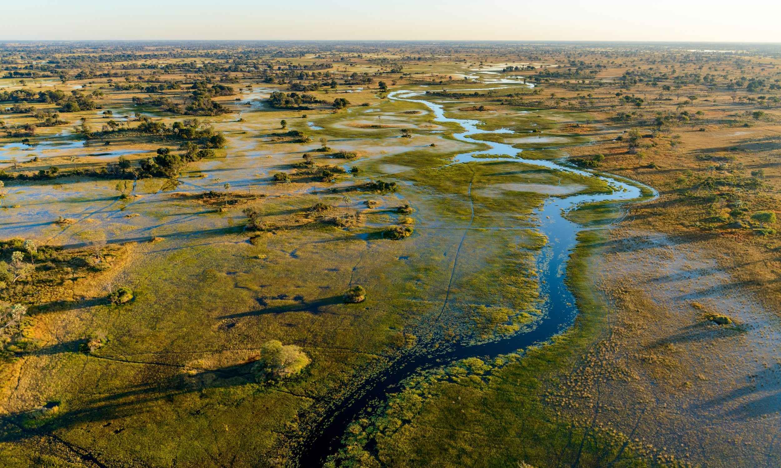 Okavango Delta Botswana