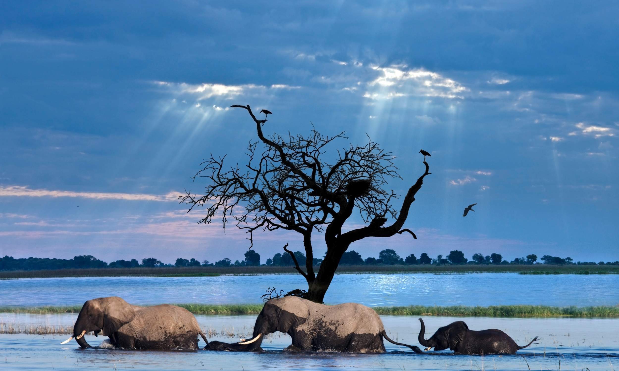 Okavango Delta Flood Botswana