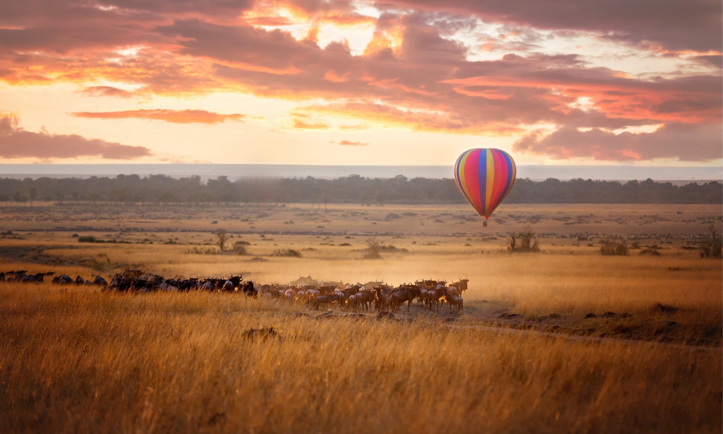 Hot Air Balloon Great Wildebeest Migration