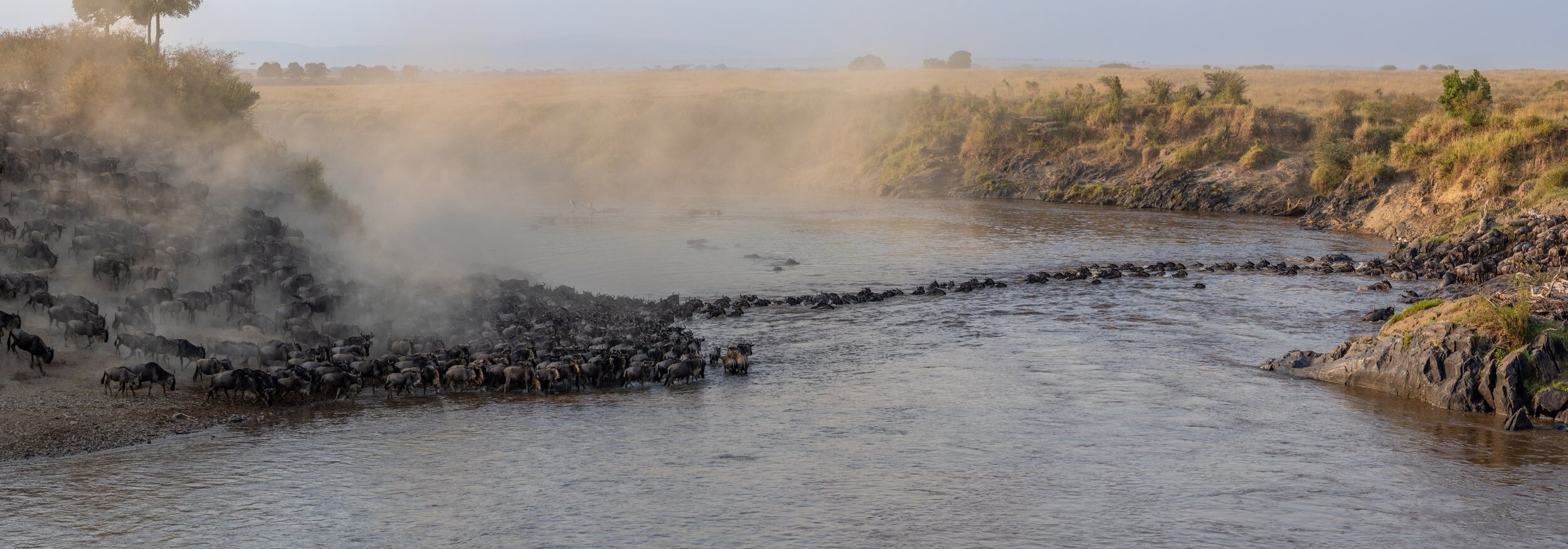 River Crossing Great Wildebeest Migration