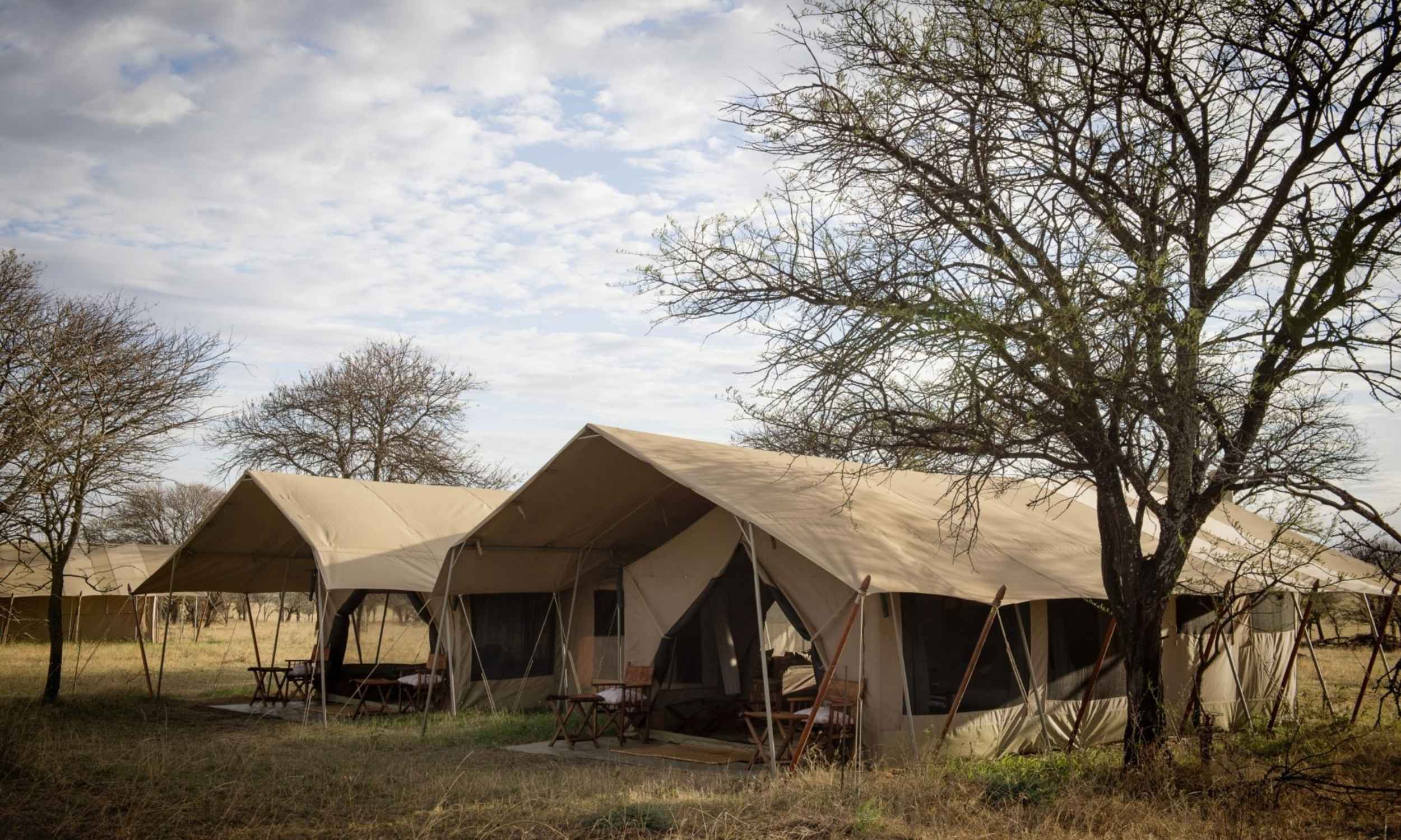 Serengeti Safari Camp 2 Great Wildebeest Migration