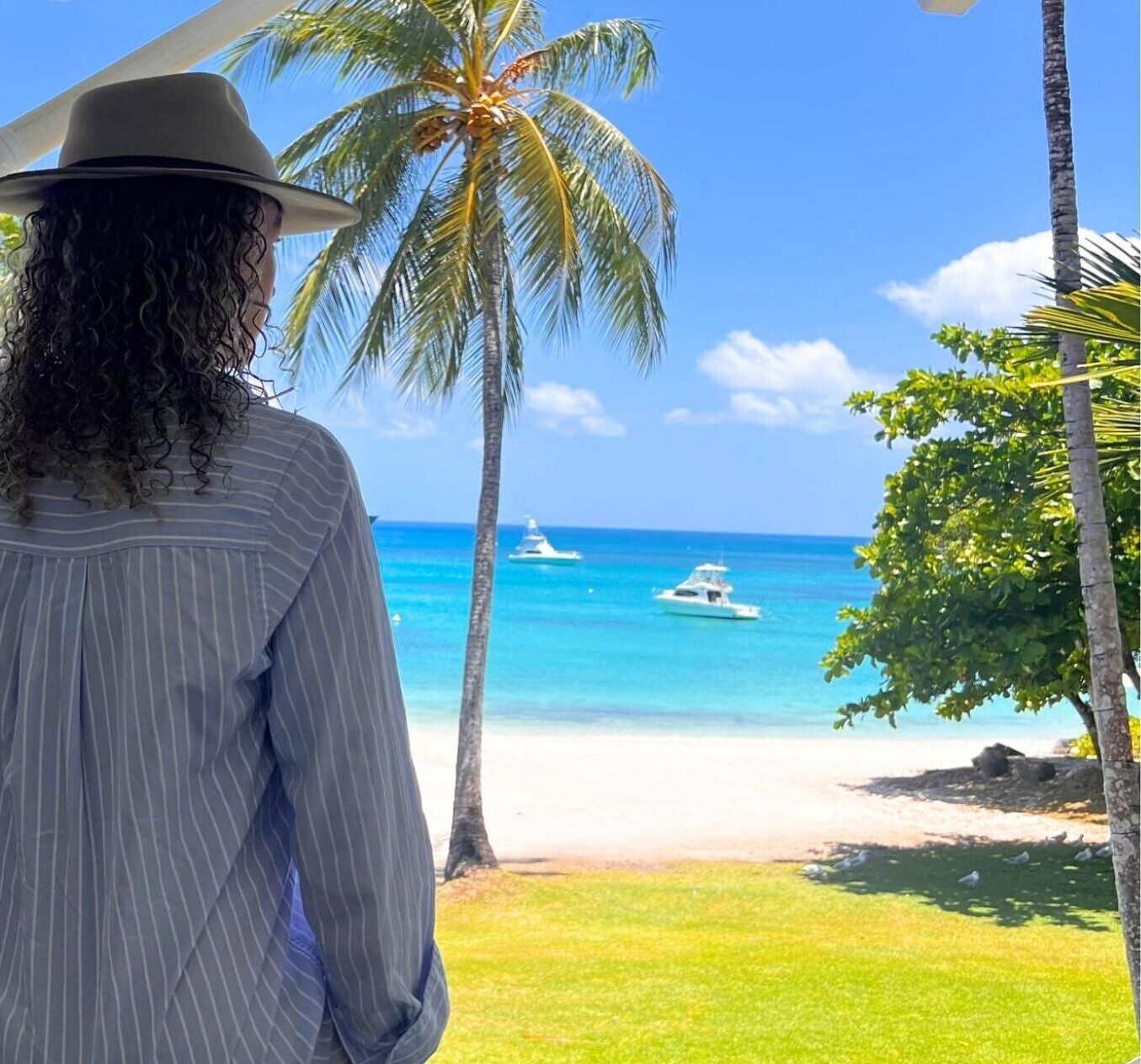 Where the Wild Endures 1