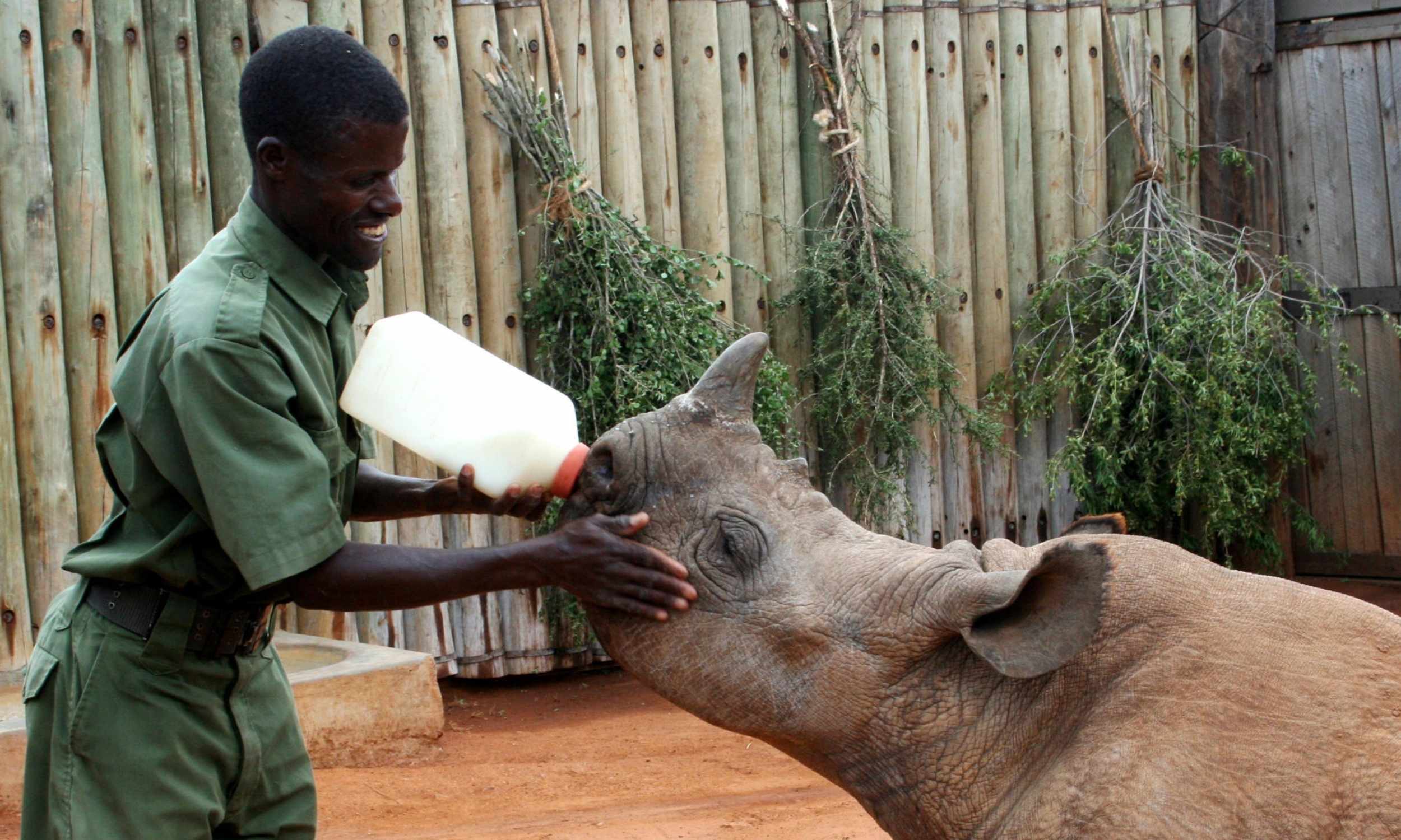 Where the Wild Endures 4