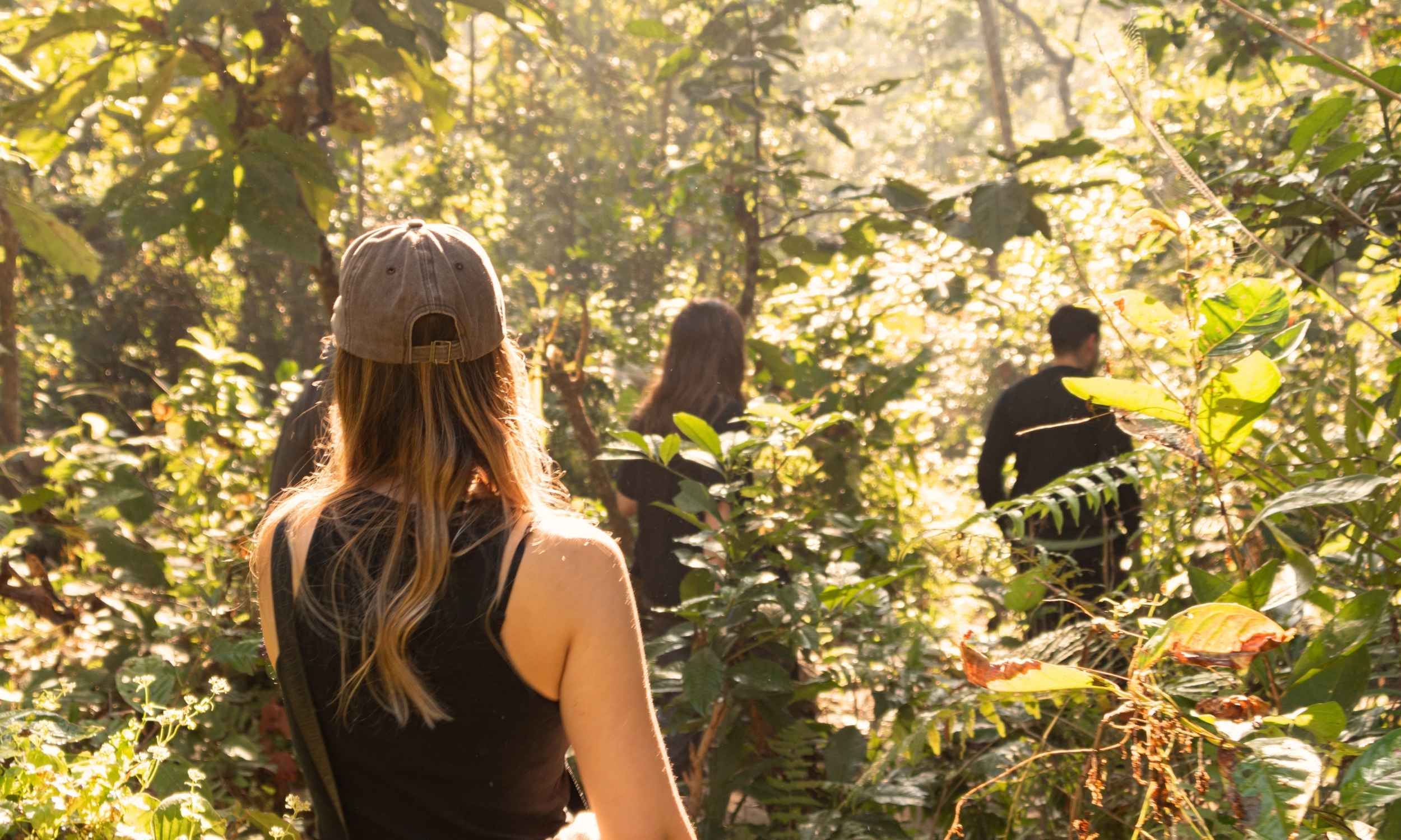 Travel Lessons Slow 2