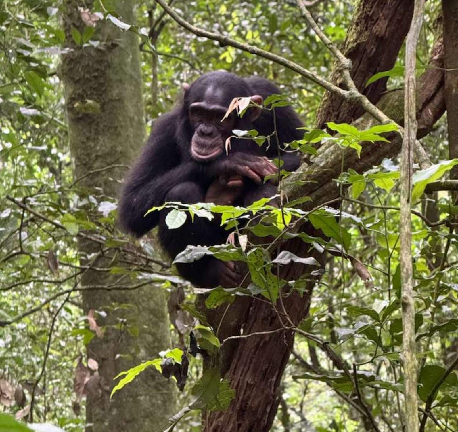 2025 Journeys That Shaped Us 15