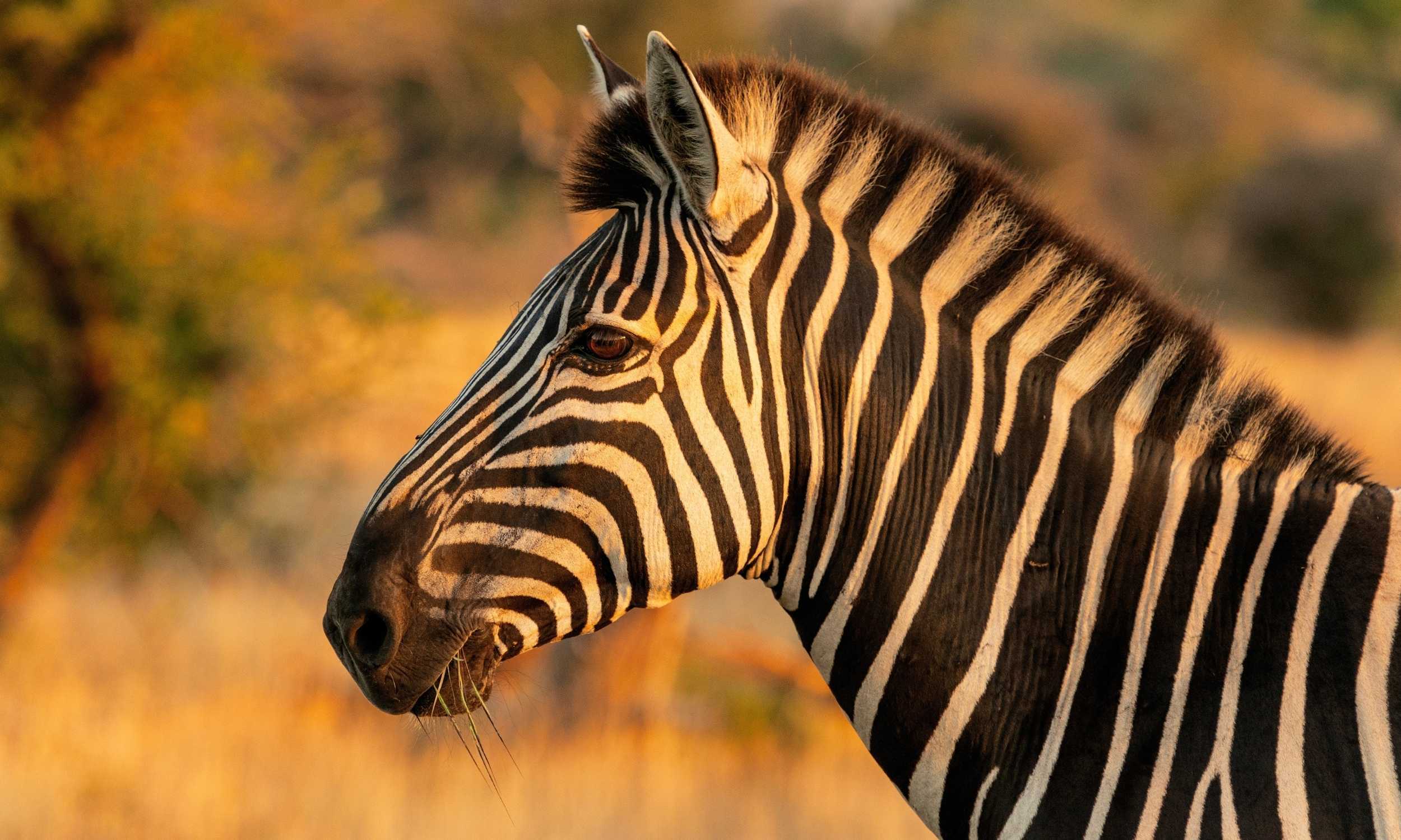 2025 Journeys That Shaped Us 16