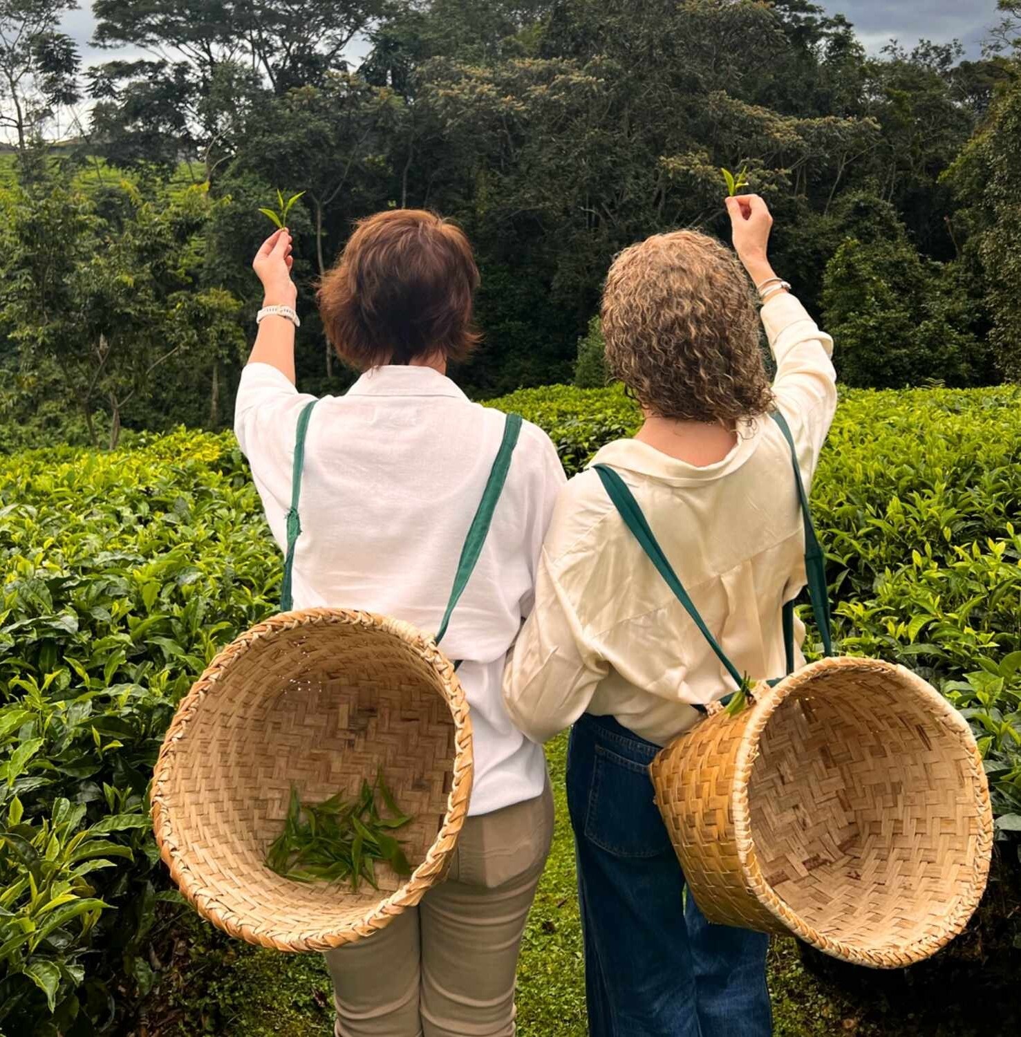 2025 Journeys That Shaped Us 2