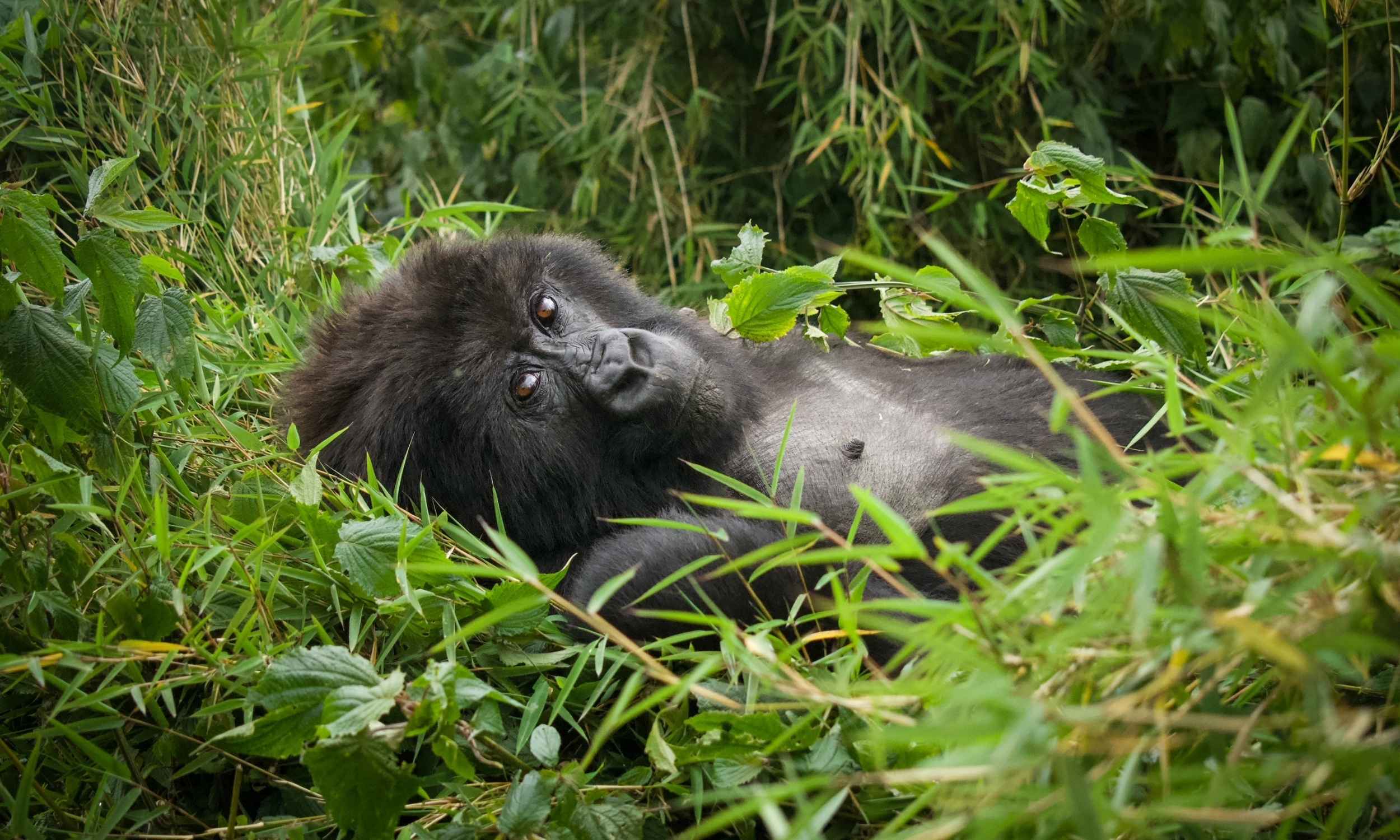 2025 Journeys That Shaped Us 8