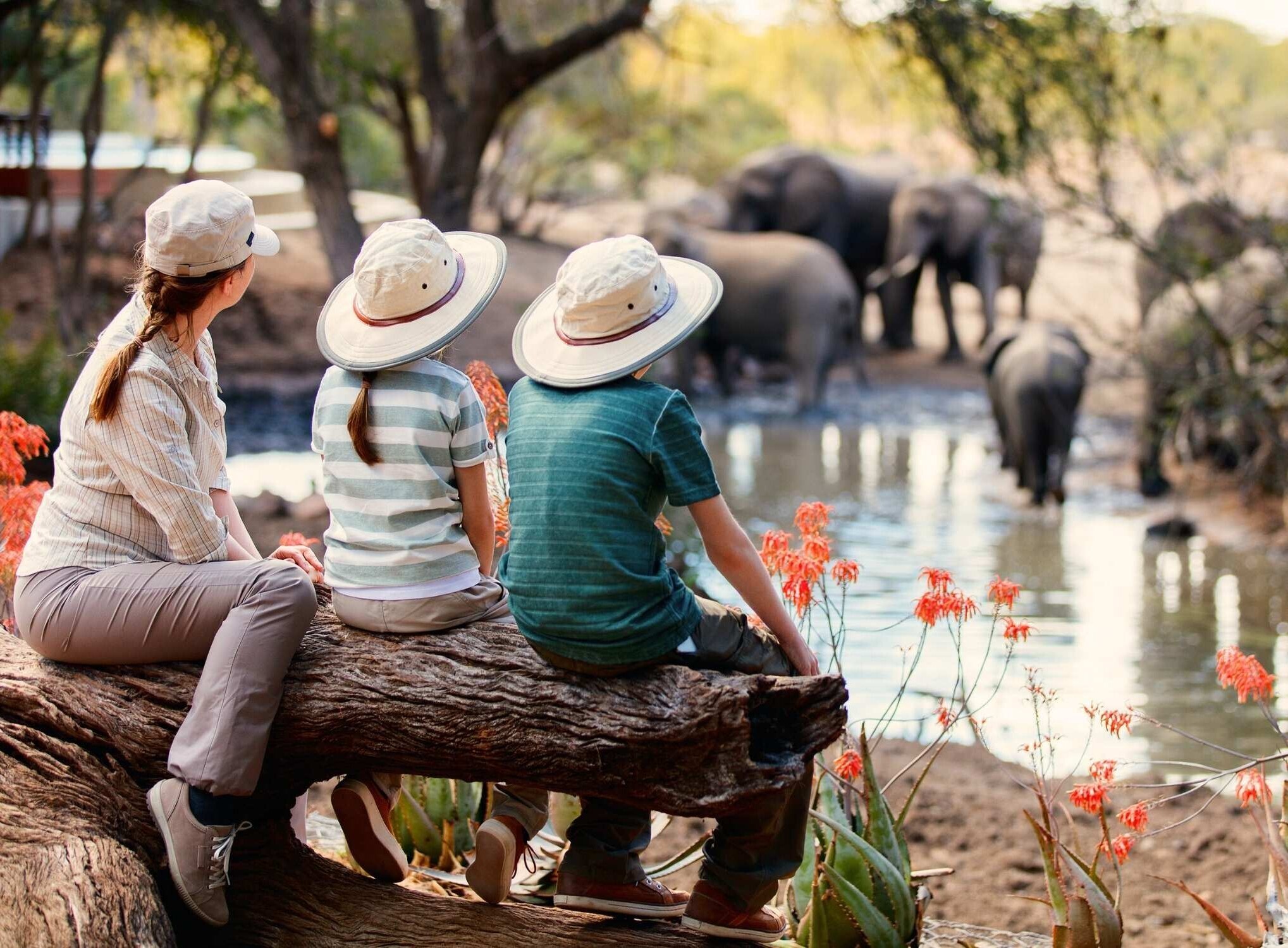 Family Safari in South Africa 3