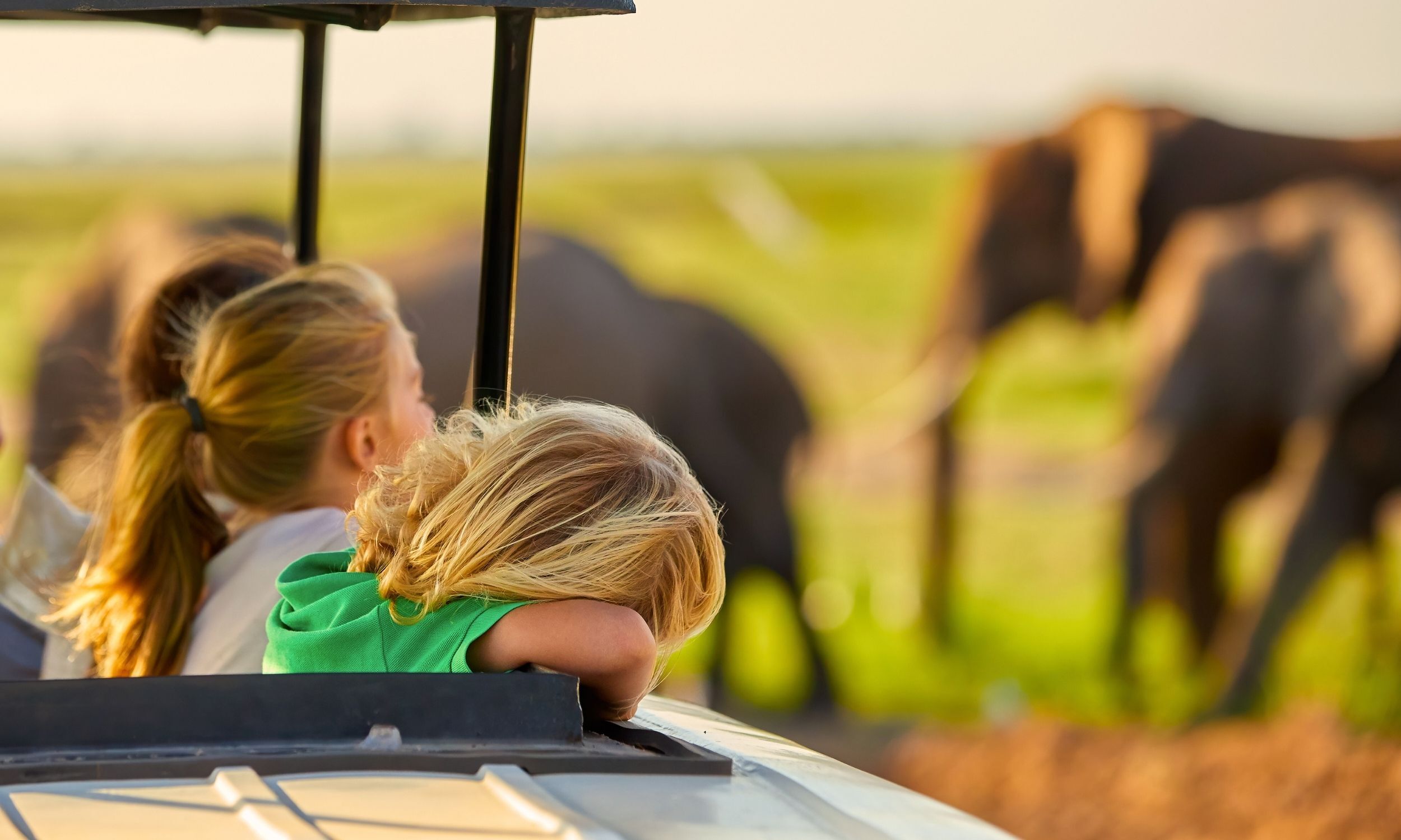 Family Safari in South Africa 9