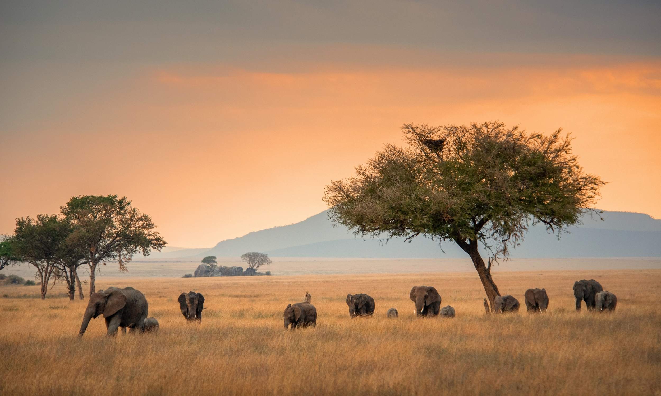 2026 Travel Trends 1