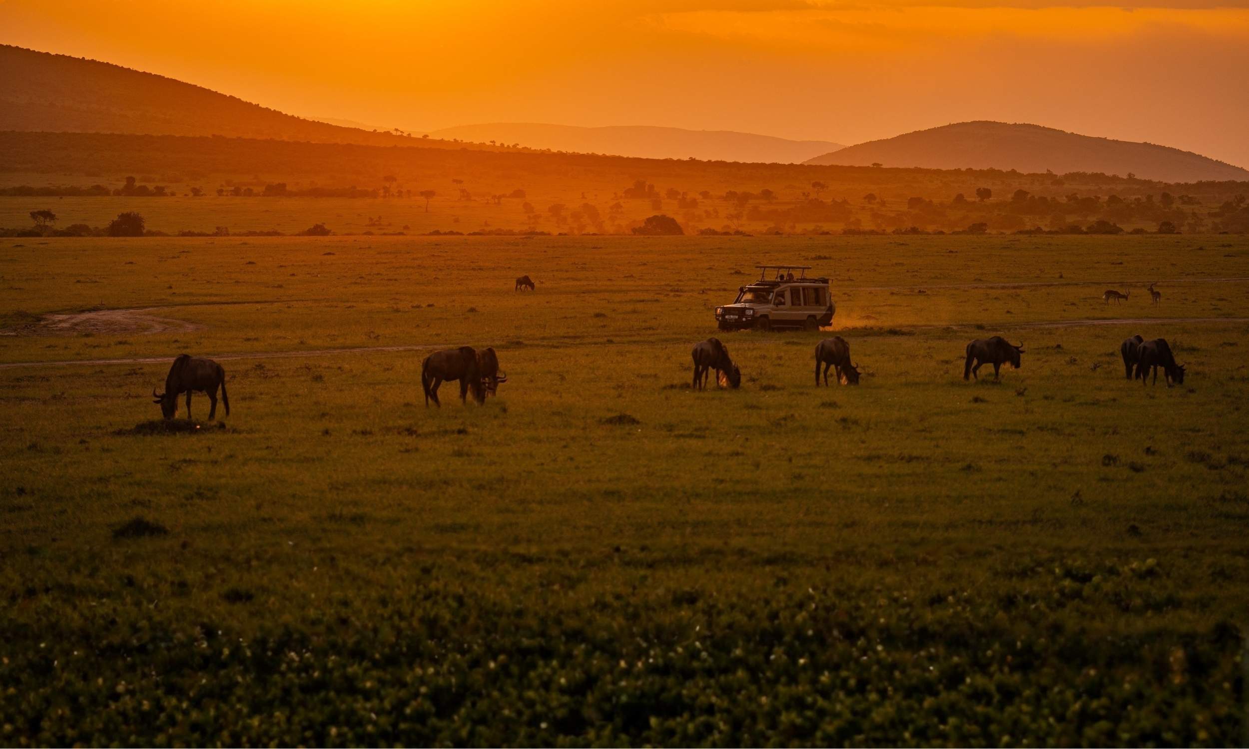 2026 Travel Trends 16