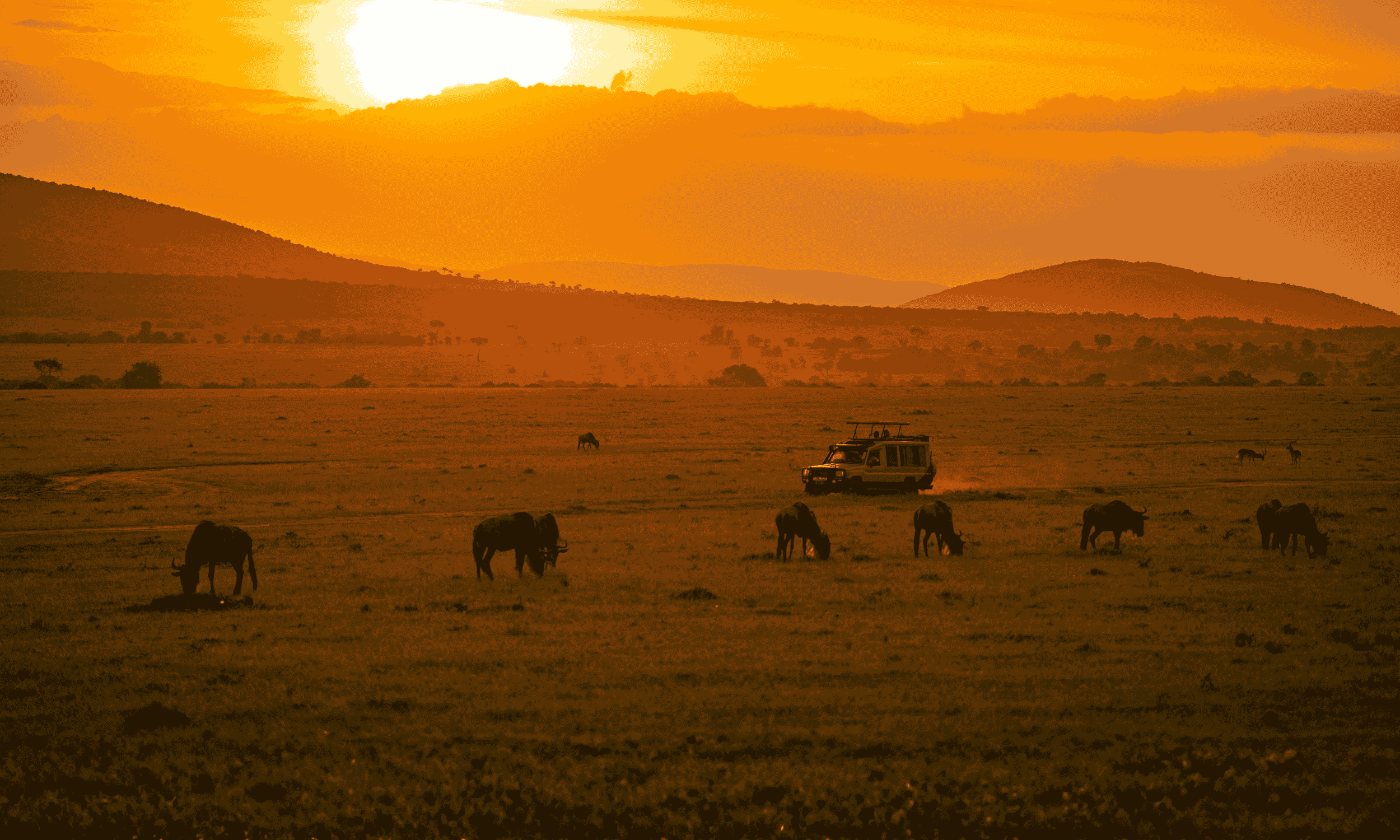 2026 Travel Trends 16