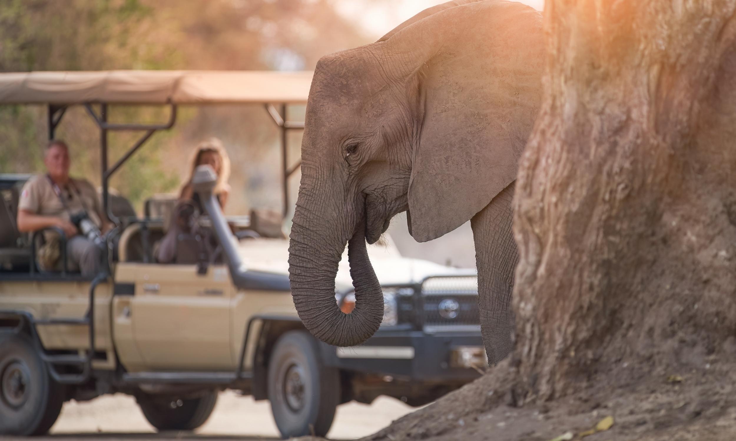 2026 Travel Trends 2