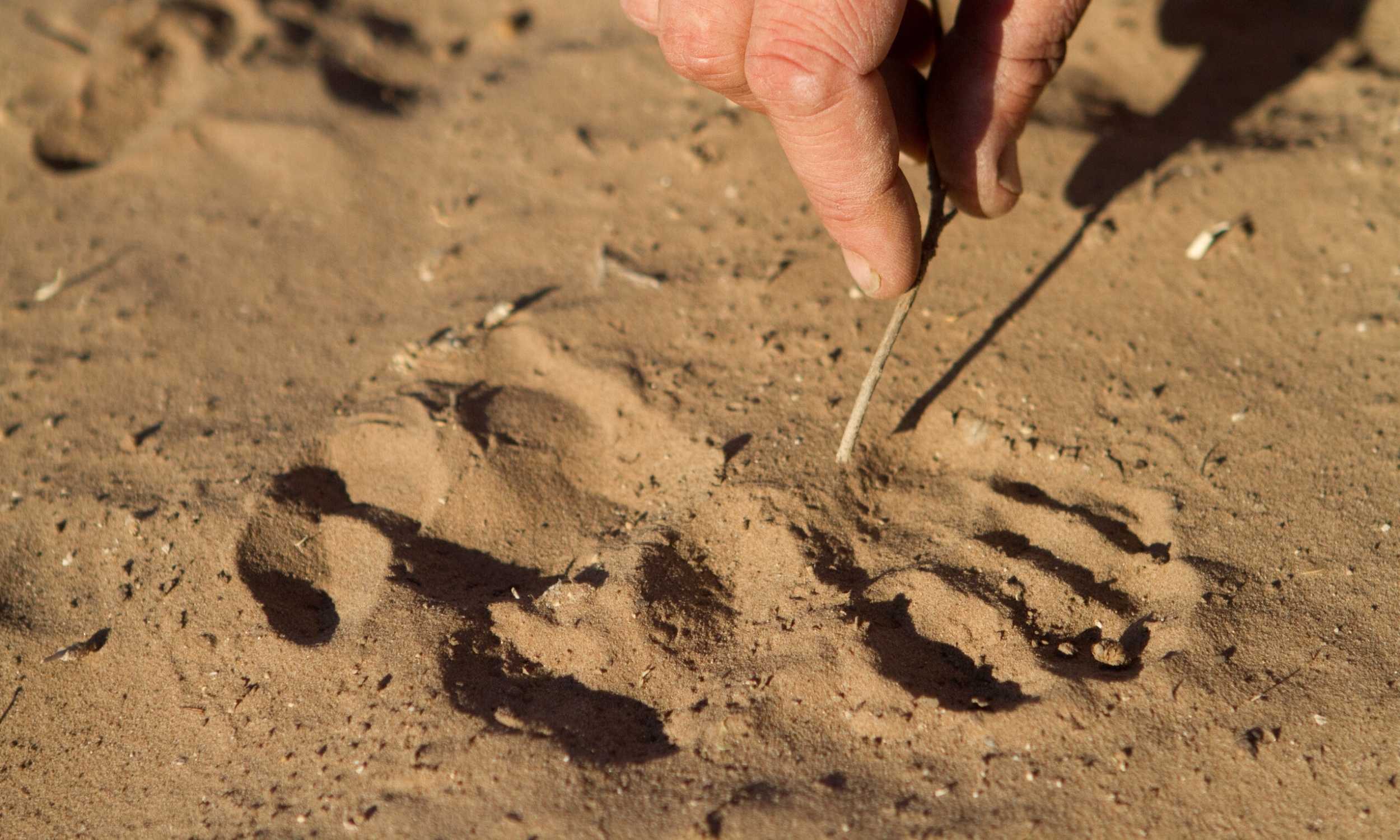 2026 Travel Trends 5