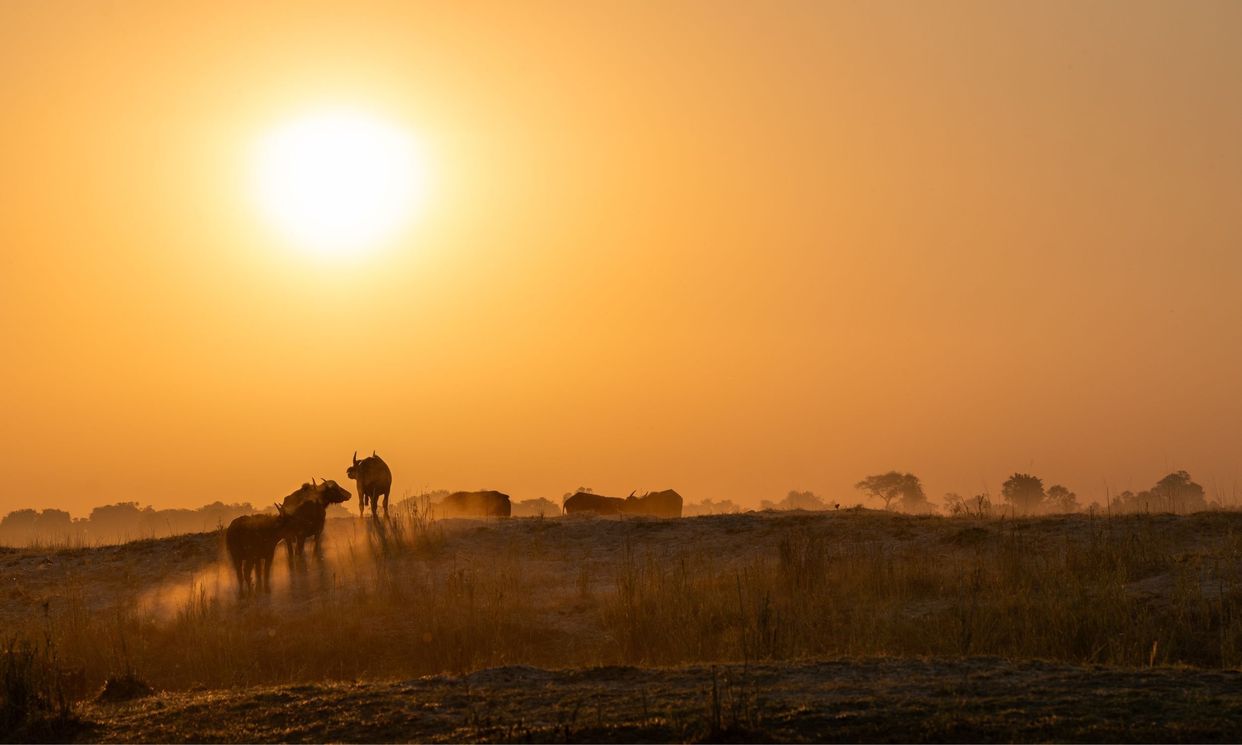 2026 Travel Trends 9