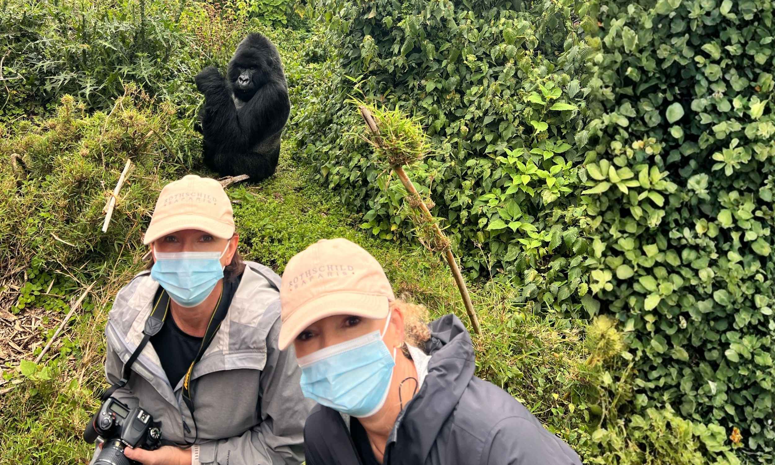 Rwanda Gorillas 14