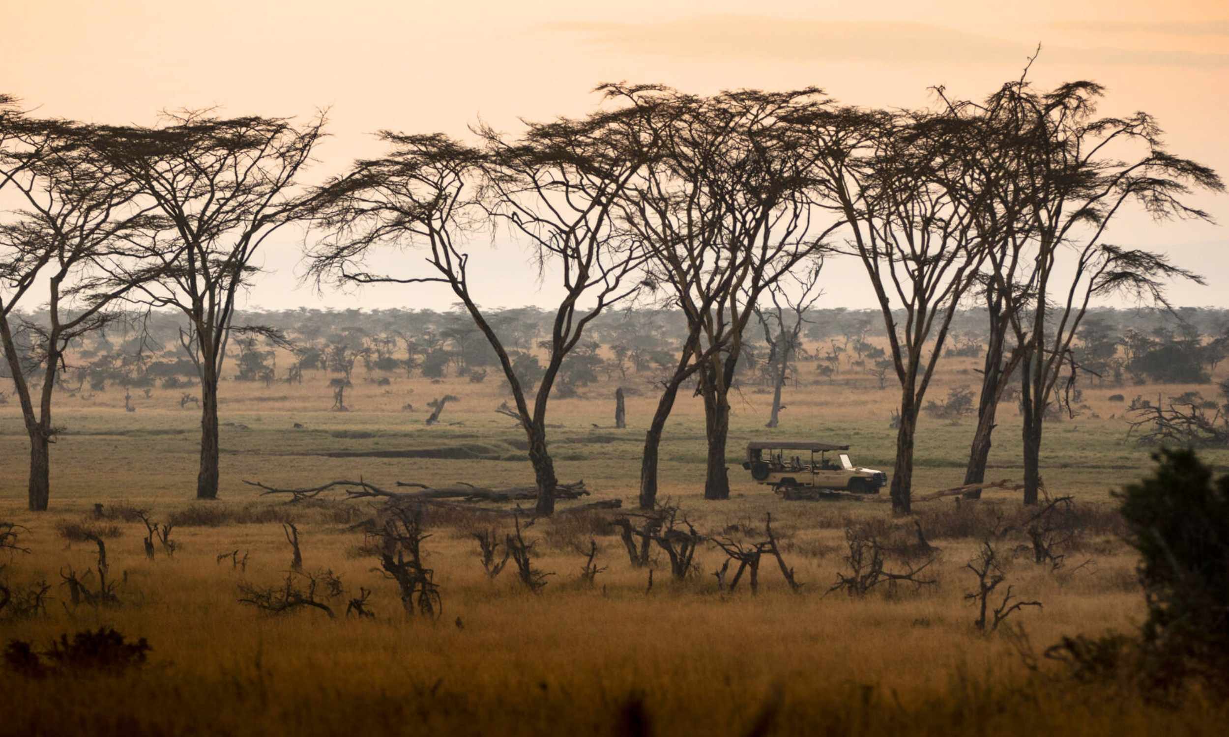 Segera Retreat Kenya