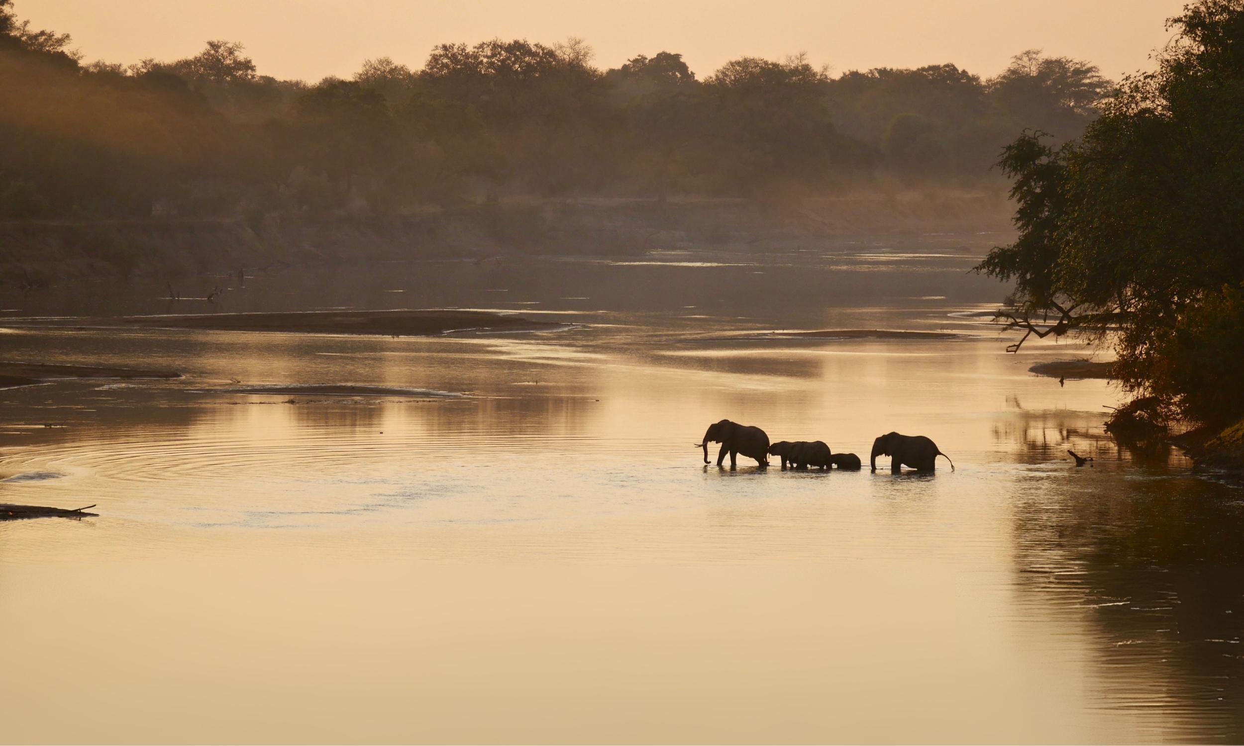 South Luangwa National Park Zambia