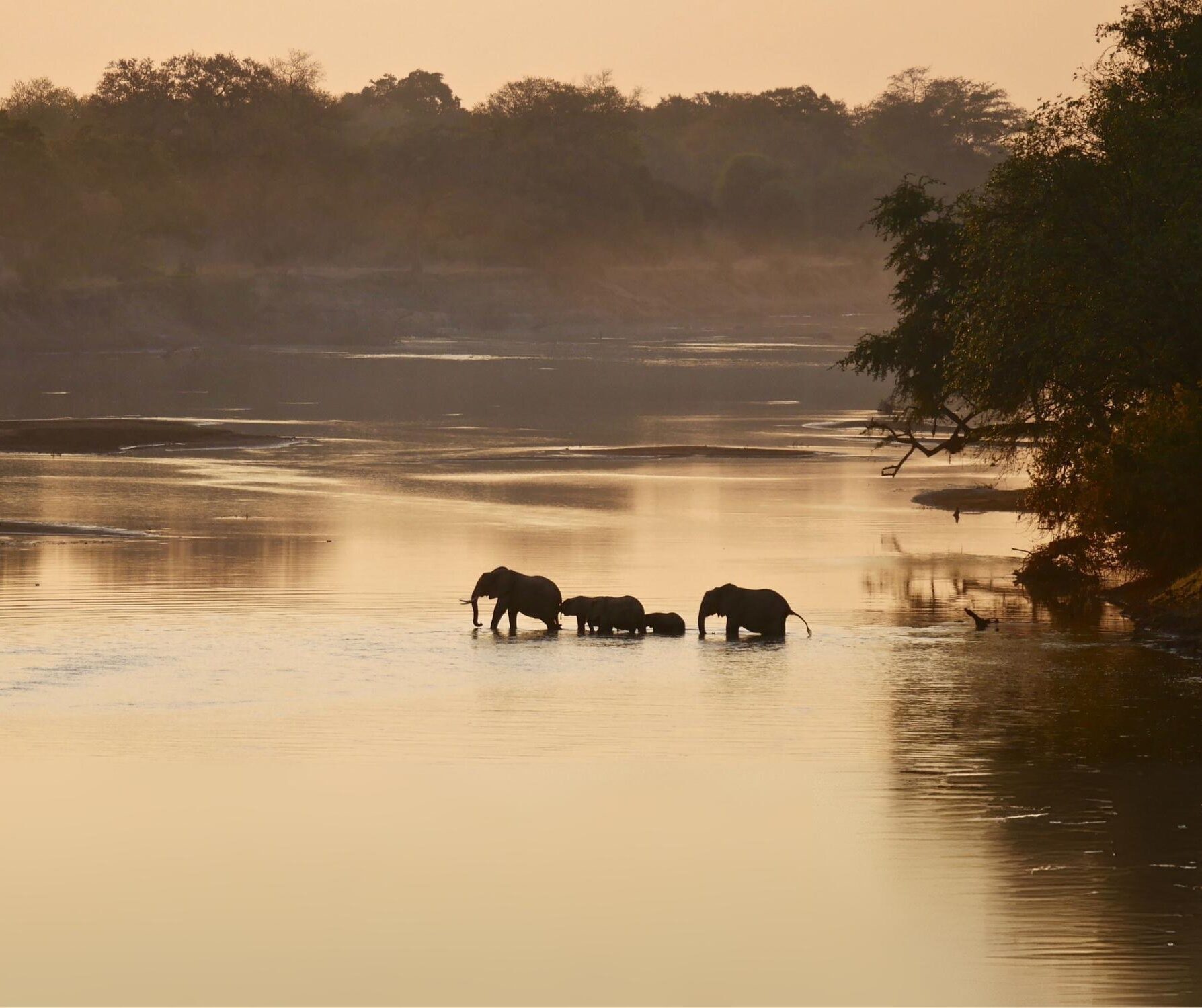 South Luangwa National Park Zambia 2025 08 22 063527 mpno