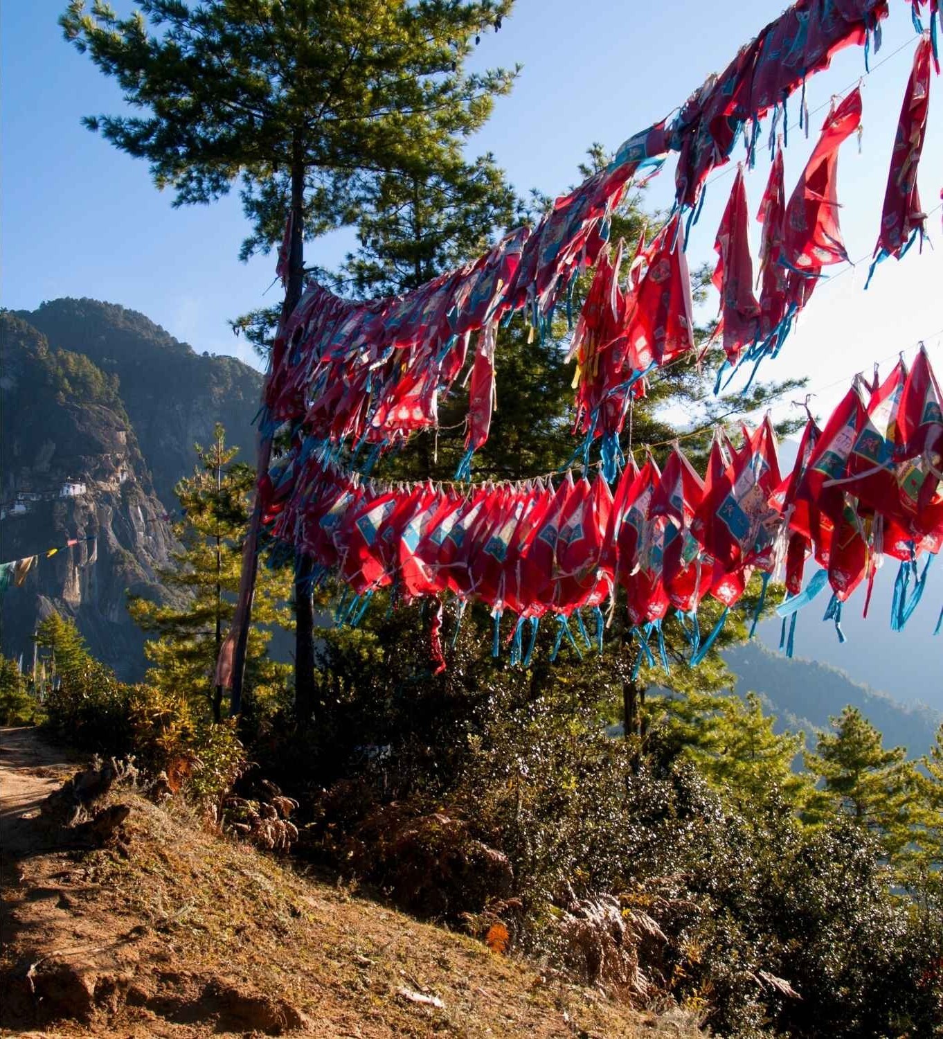 Taktshang monastery with prayer flags Bhutan Indian Subcontinent